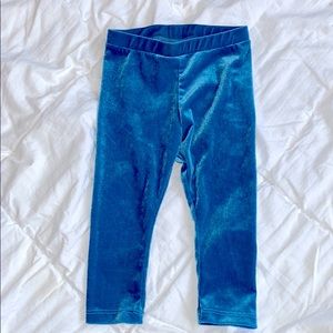 Gymboree Teal Blue Velvet Leggings 18-24mo